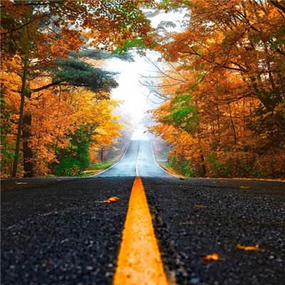 开元棋棋牌388ccvod官网版