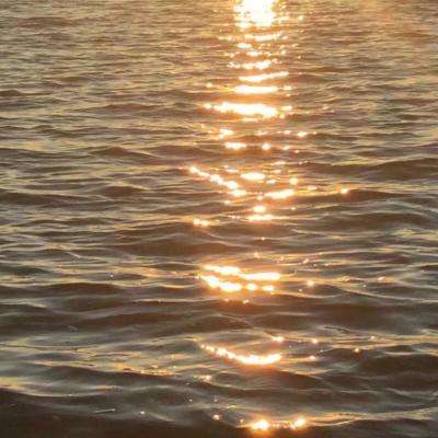 半岛彩票下载手机版